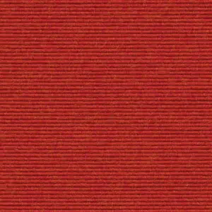 tretford Interland 582 - Grapefruit 2-Meter Breit Teppichboden 1010110582