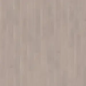 Wineo Wineo 1000 Purline Bioboden, Wineo 1000 wood L zum Kleben Soft Oak Silver Designboden zum Kleben PL302R